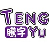 【TengYu 騰宇通訊】
